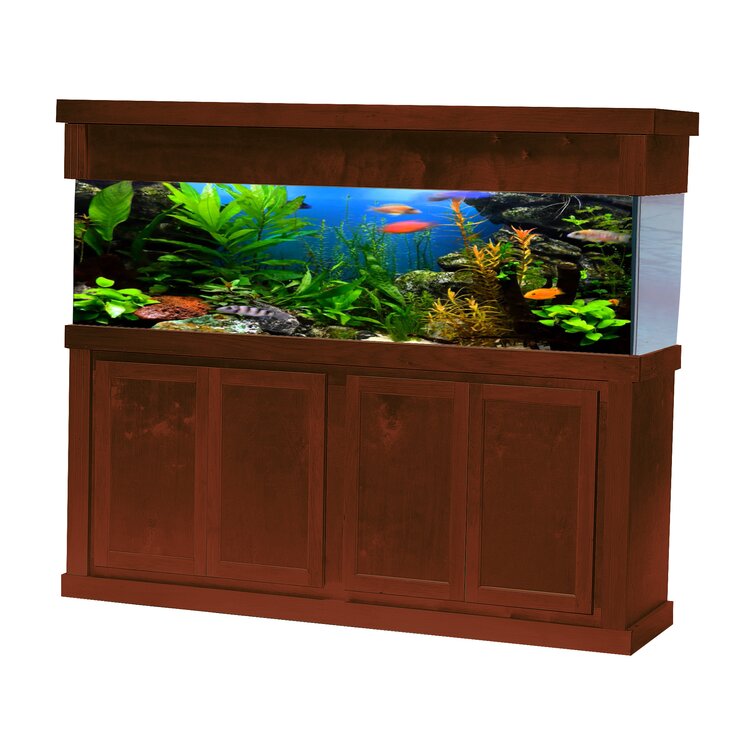 Aquarium stand sales and canopy